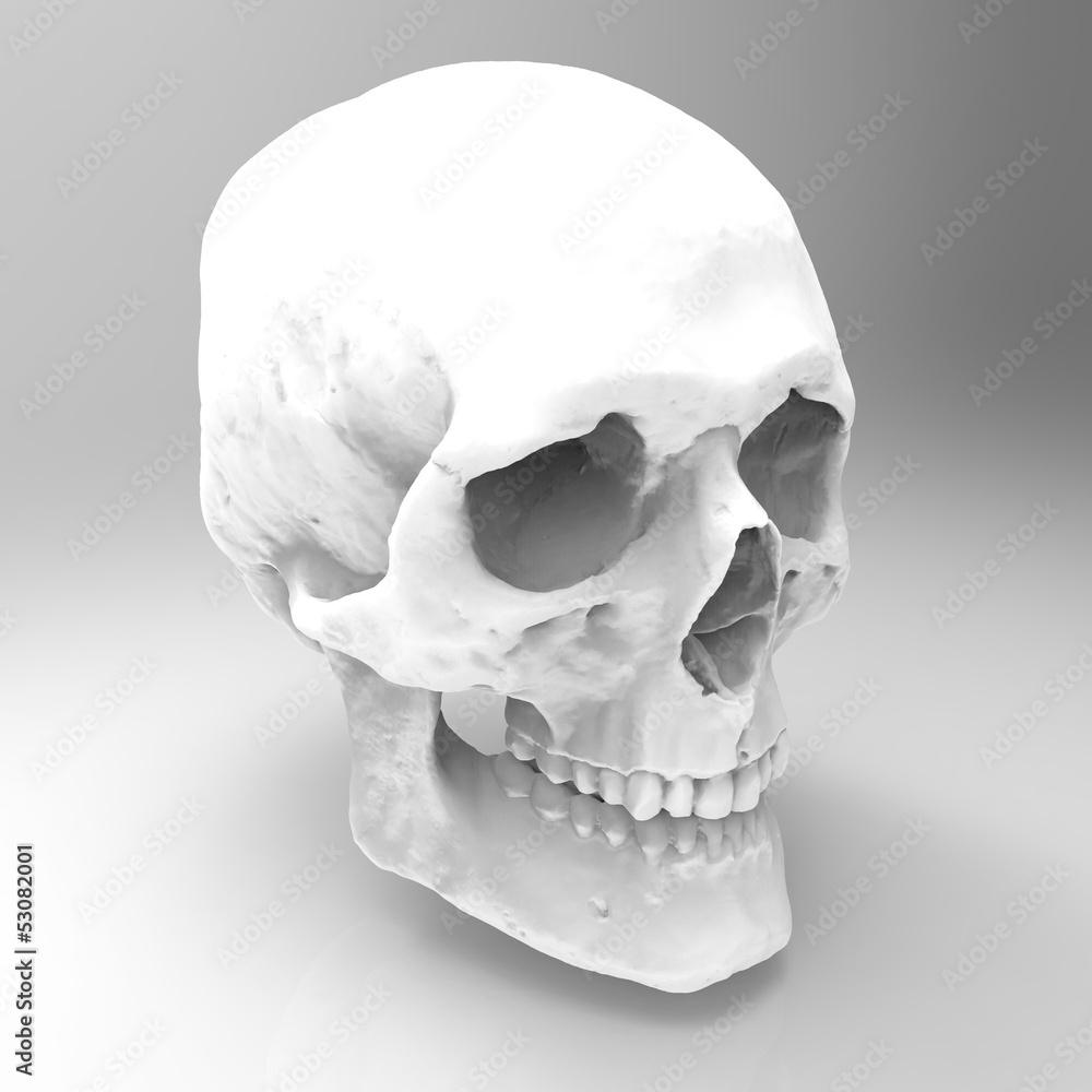 Obraz premium Head Human Skull realistic