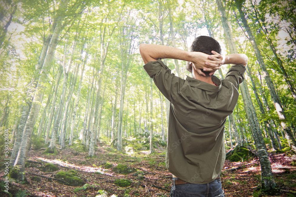 young man enjoying sunlight in a green summer forest young man enjoying sunlight in a green summer forest