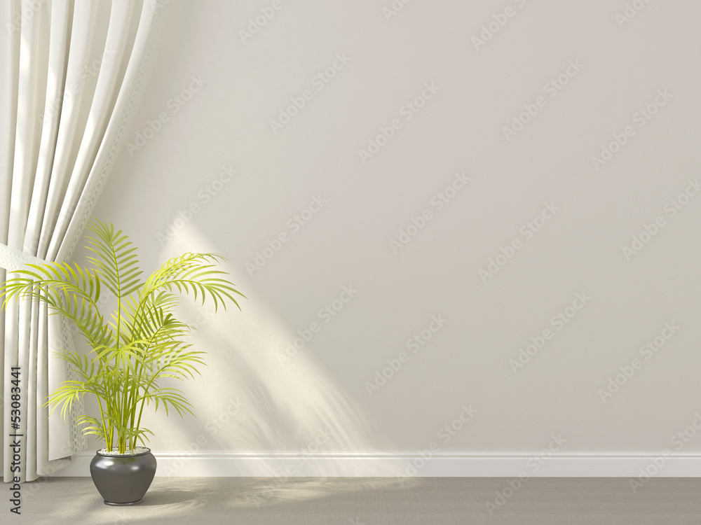 Fototapeta White curtains with plant