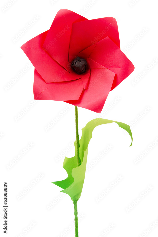Obraz premium Origami poppy flower