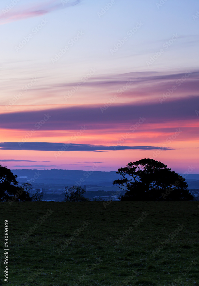 Beautiful sunset with tree silhouettes.