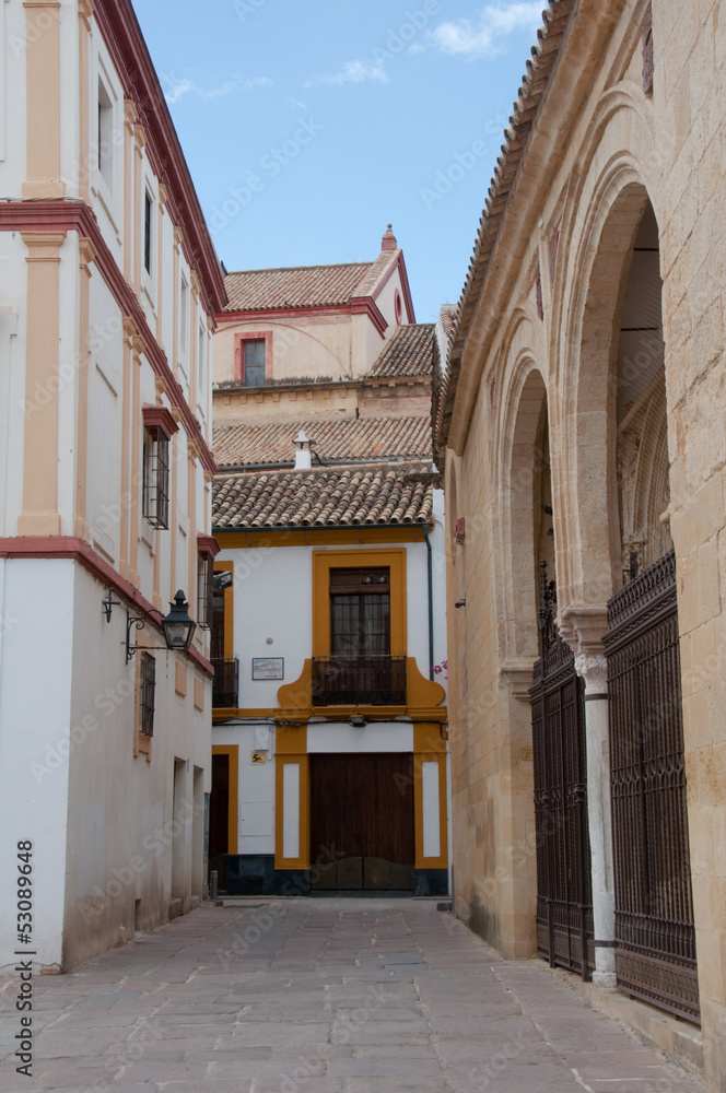 Alley in front of the Museum of Fine Arts, Cordoba (Spain)