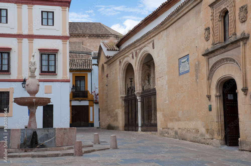 Potro square and Museum of Fine Arts, Cordoba (Spain)