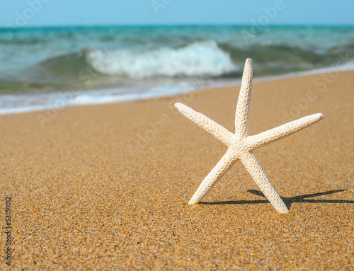 Vacation concept - Star fish on tropical sandy beach