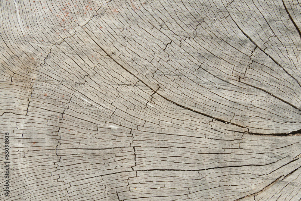 Naklejka premium Grunge of texture wood materials background
