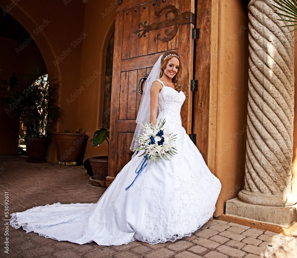 Bride in White Bride in White