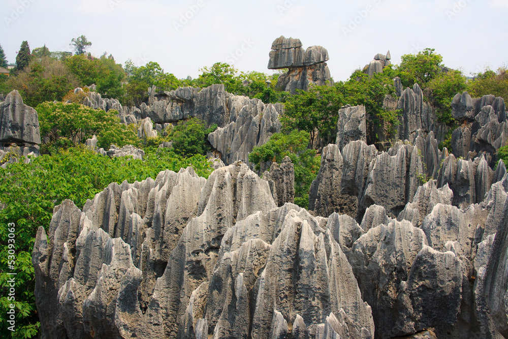 Shi Lin Stone forest national park in Yunnan province, China