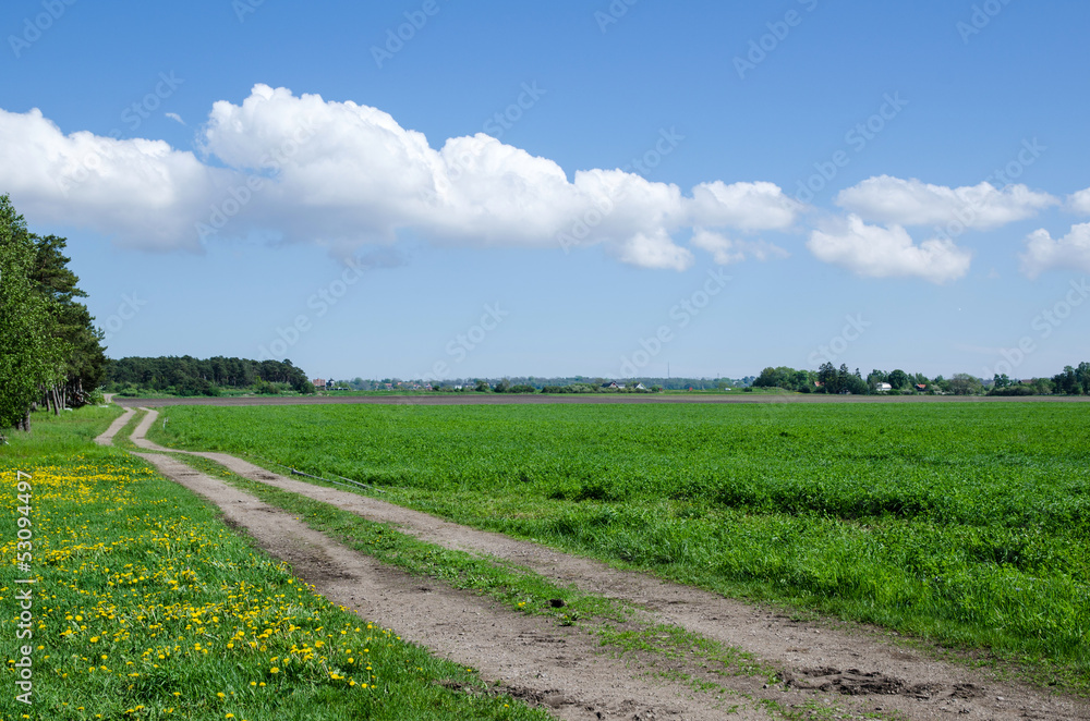Farmers road at field