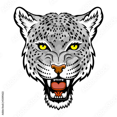 Snow leopard