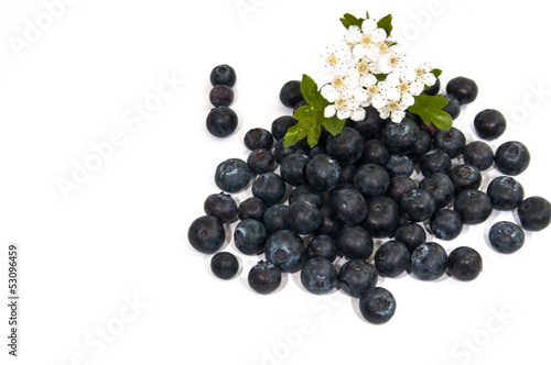 Flower and berries