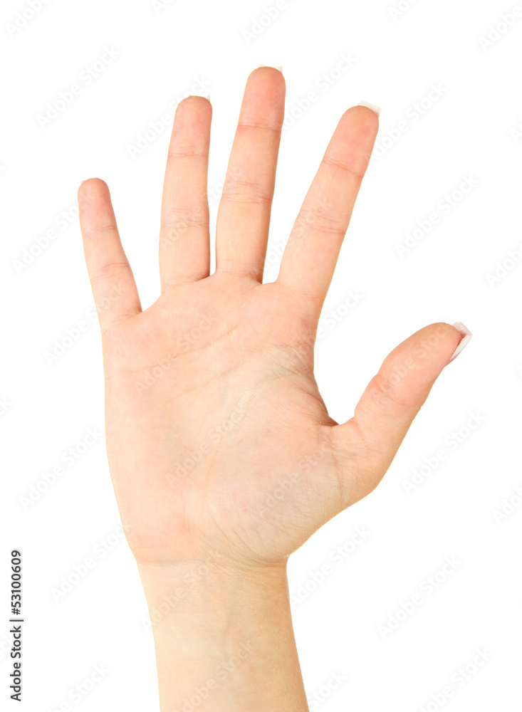 Finger Spelling the Alphabet in American Sign Language (ASL). Finger Spelling the Alphabet in American Sign Language (ASL).