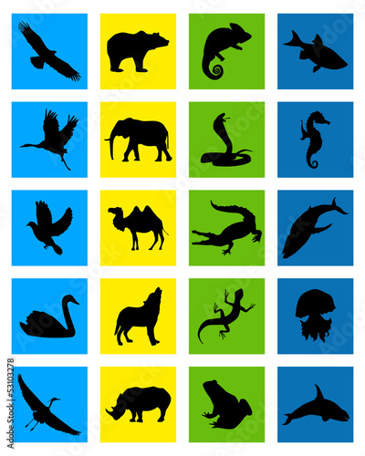 animal icon