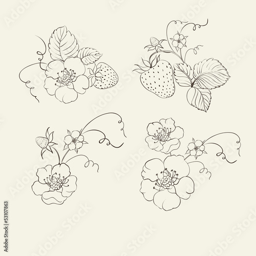 Strawberry elements