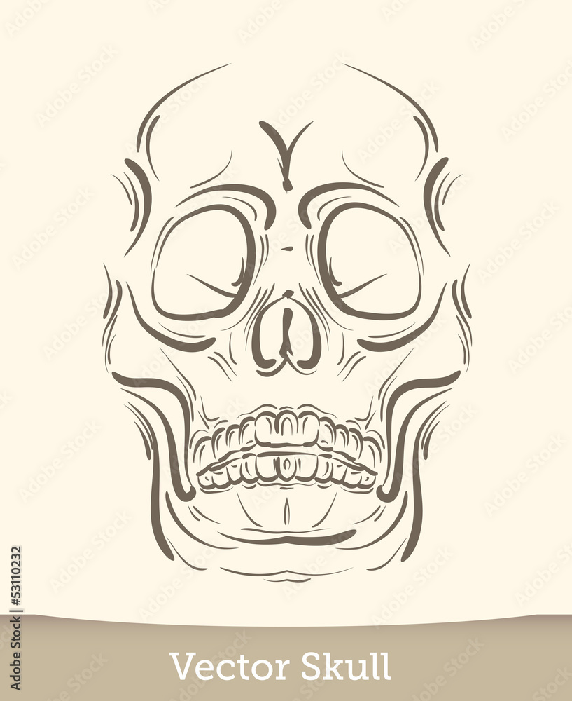 vector ink skull vector ink skull