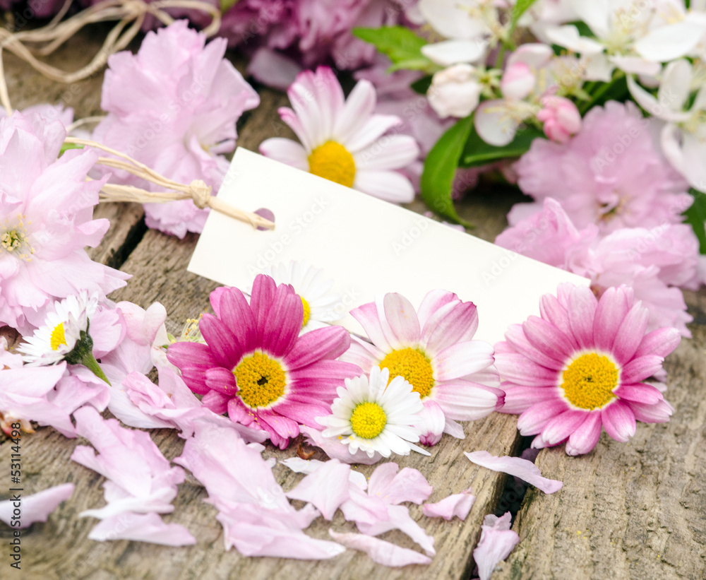 Obraz premium Liebe Grüße: Gutschein mit Margeriten und Kirschblüten