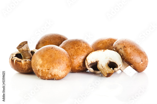 Fresh mushroom champignon isolated on white background . fresh