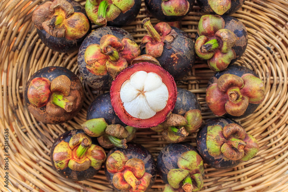 Mangosteen Mangosteen
