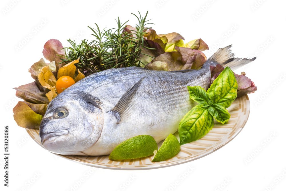 Fresh raw dorada Fresh raw dorada