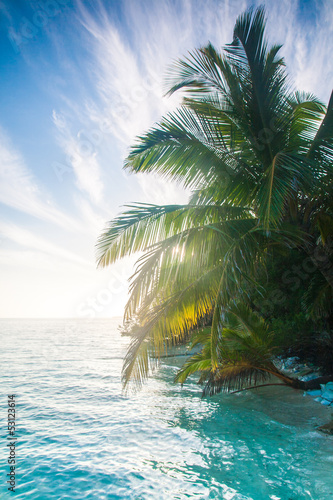 Shining sun on nice beach with palm trees