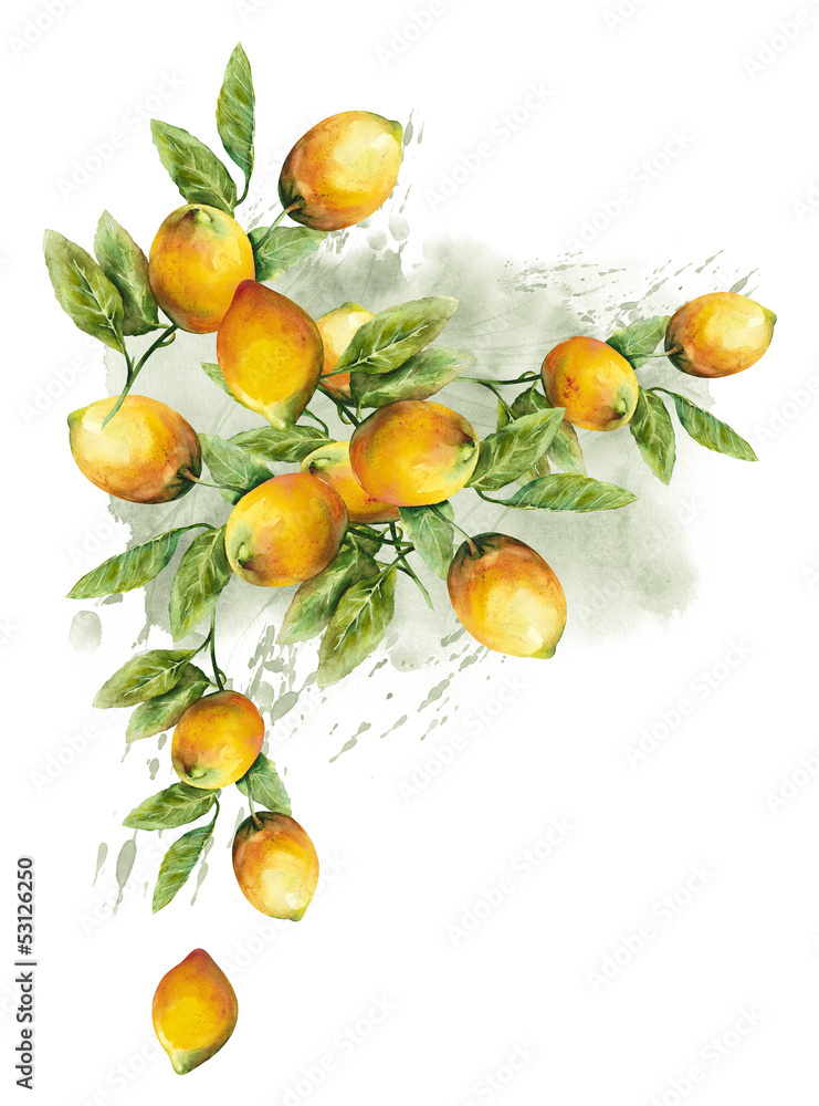 Fototapeta premium Lemons Pattern