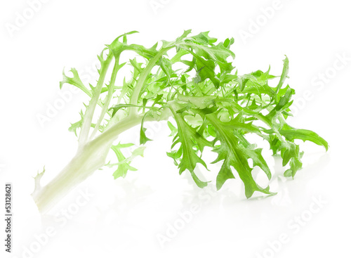 Lettuce leaves isolated on white background