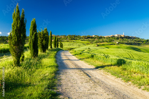 Country road leading to Pienza, Tuscany