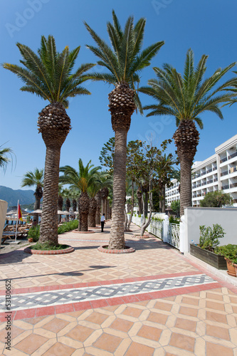 Fototapeta Naklejka Na Ścianę i Meble -  Palms in Marmaris