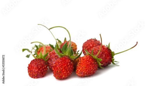 wild strawberry isolated
