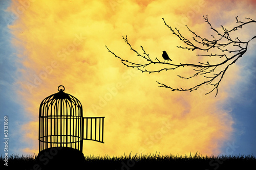 Canvas Print Bird cage