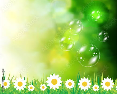 Soap bubbles on green natural background