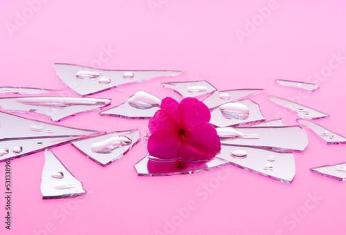 Shattered Romance in Pink Pieces