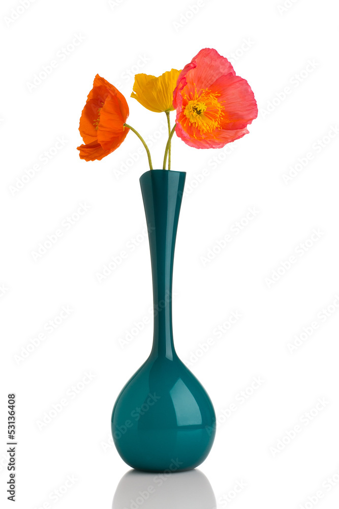 Obraz premium Poppy.