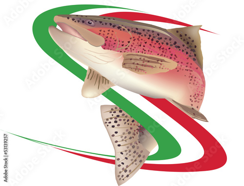 trota salmonata.italiana