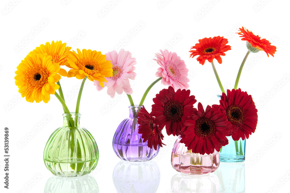 Glass vases with colorful Gerber flowers