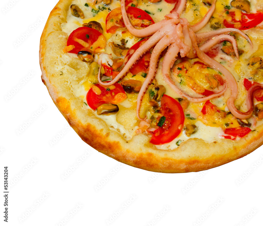 pizza isolated white octopus cheese a food italian tomato meal f pizza isolated white octopus cheese a food italian tomato meal f