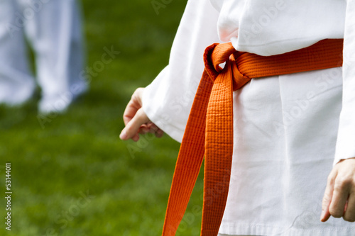 Tae Kwon Do photo