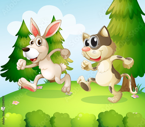 A bunny and a cat running above the hill