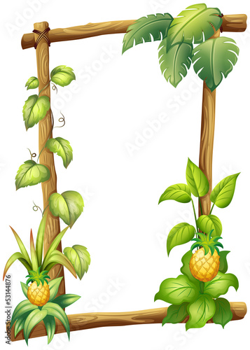 A framed wood with vine plants