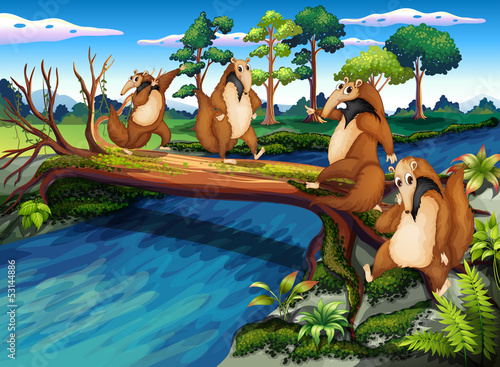 Four playful wild animals crossing the river