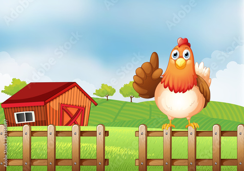 A chicken above a wooden fence at the farm