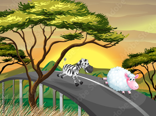 A zebra and a sheep running at the road