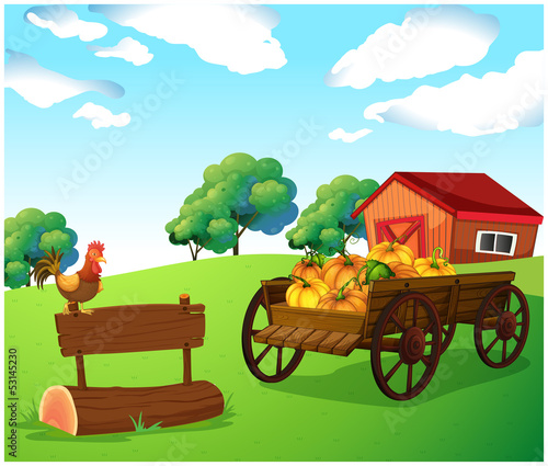 A chicken above a wooden signboard near the carriage with squash