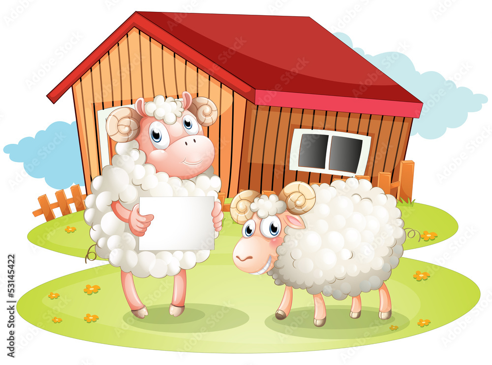 A sheep holding an empty signage at the back of the barn A sheep holding an empty signage at the back of the barn