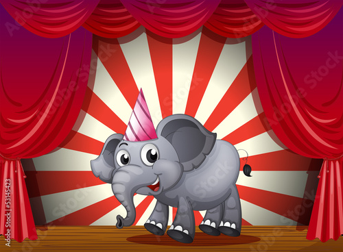 An elephant wearing a party hat at the stage