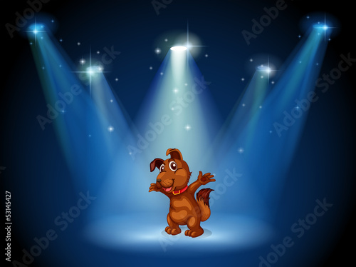 A stage with a dog in the middle