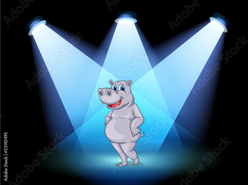 A stage with a hippopotamus standing in the middle