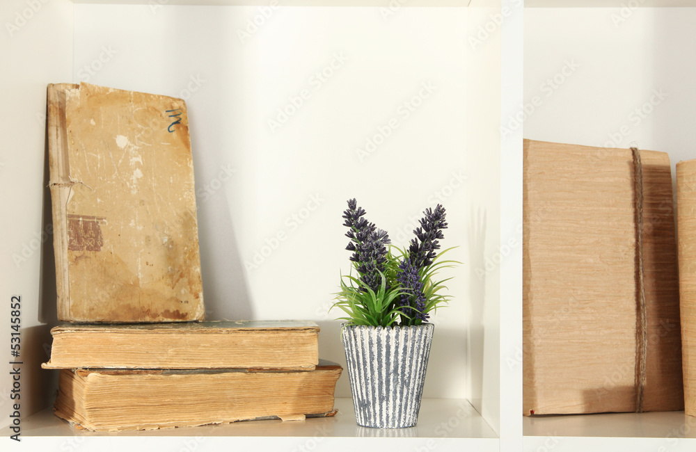 Beautiful book on white shelve Beautiful book on white shelve