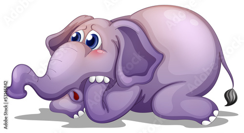 A big gray elephant