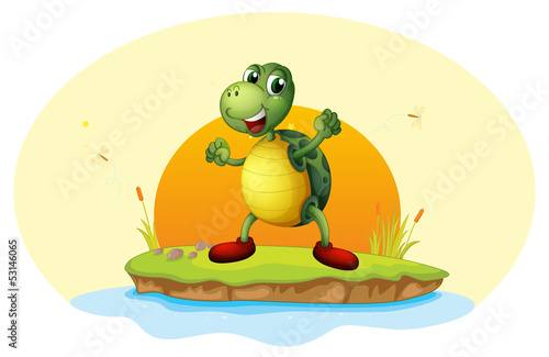 A turtle in a small island