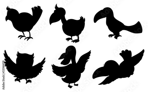 Silhouettes of birds
